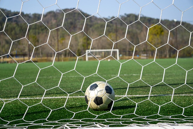 开云体育-德尔皮耶罗亚洲独家品牌形象大使